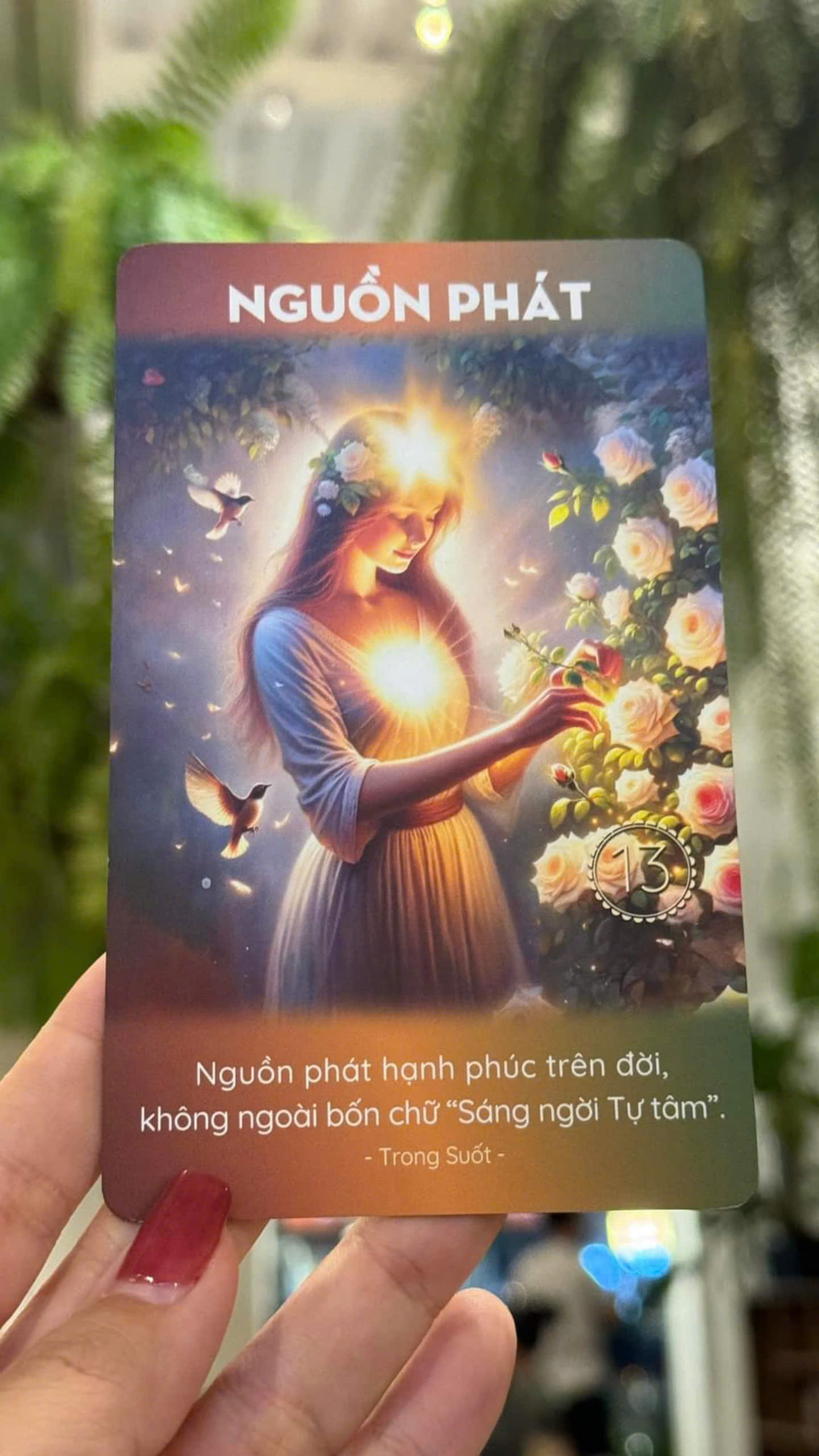 Bộ bài Trong Suốt - Thịnh Vượng và Hạnh Phúc