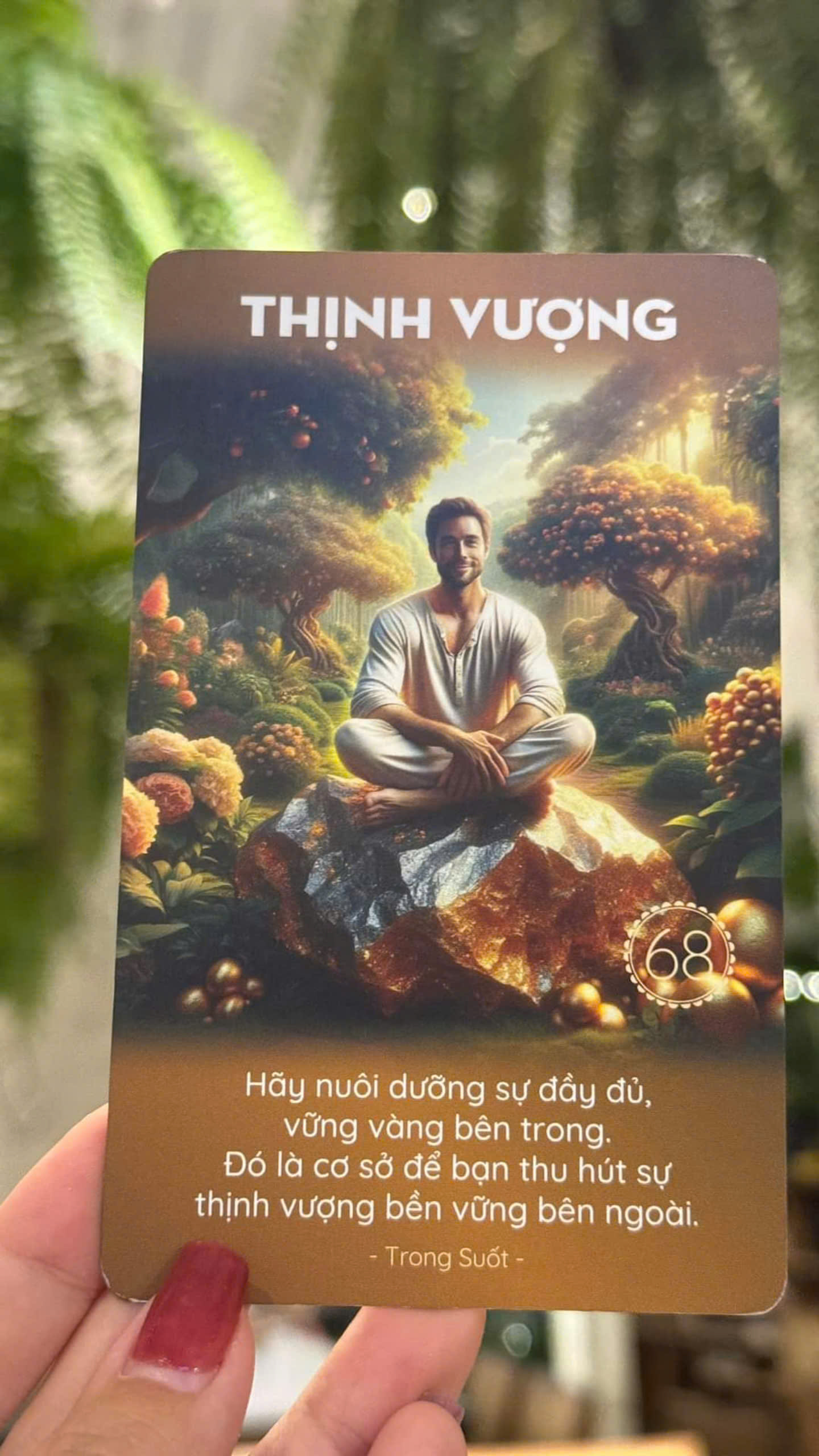 Bộ bài Trong Suốt - Thịnh Vượng và Hạnh Phúc