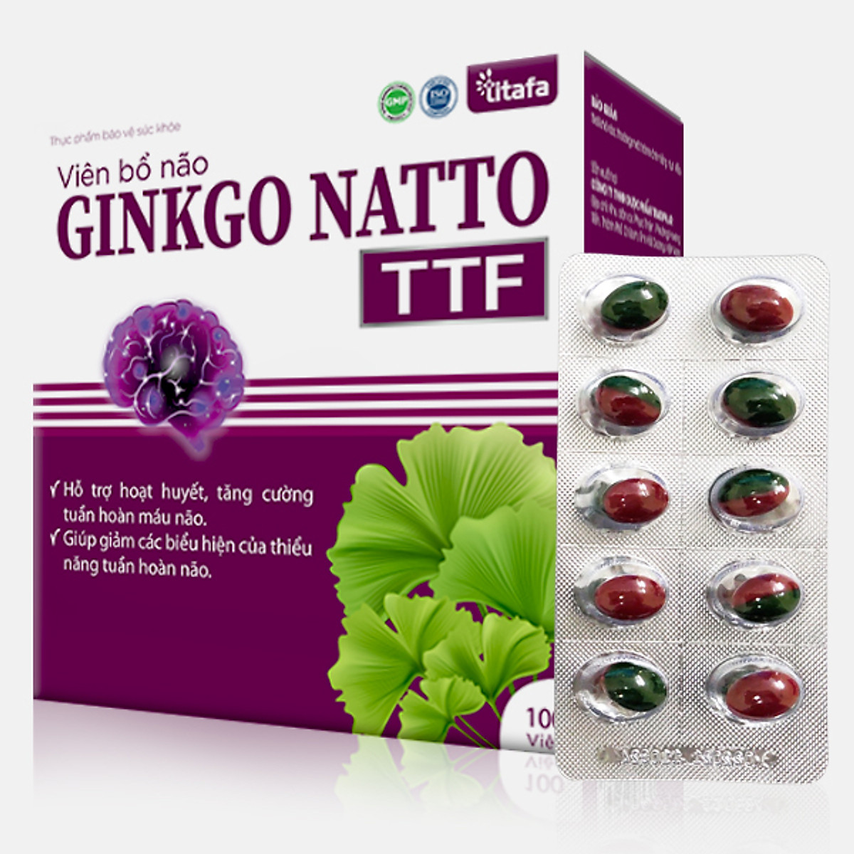 VIÊN BỔ NÃO GINKGO NATTO TITAFA (HỘP 100 VIÊN)