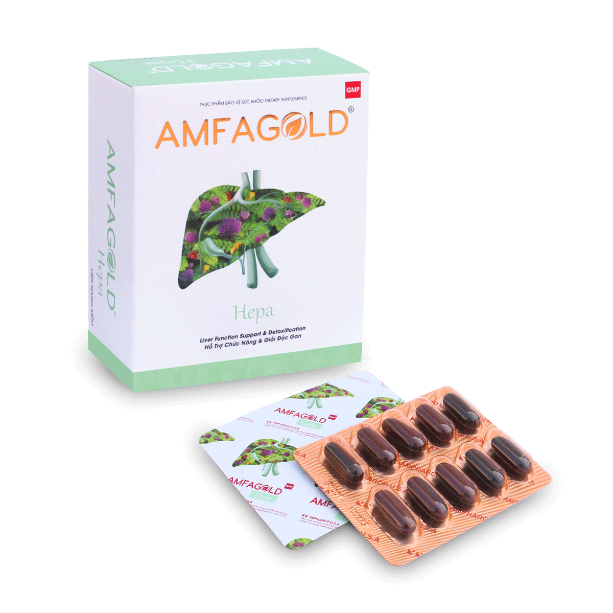 VIÊN UỐNG HỖ TRỢ CHỨC NĂNG GAN AMFGOLD (H/30V)