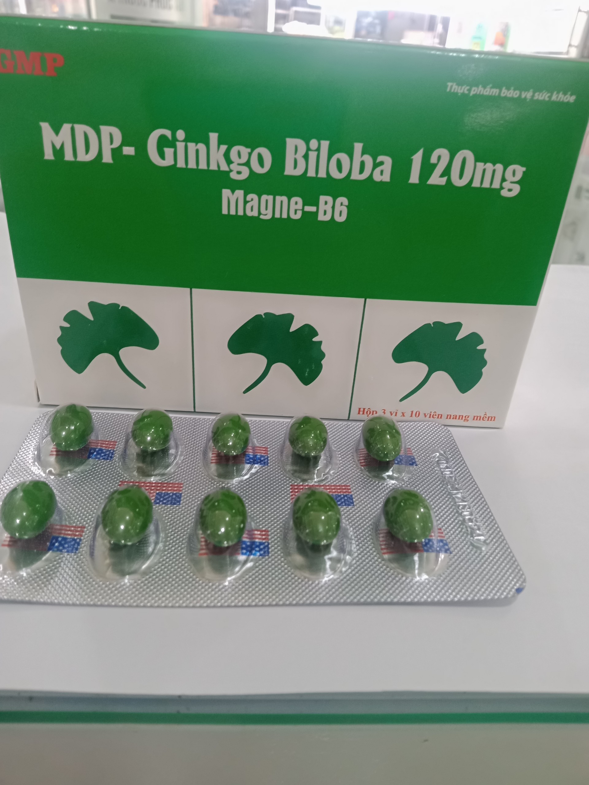 MDP- GINKGO BILOBA 120MG MAGNE-B6 H/30V