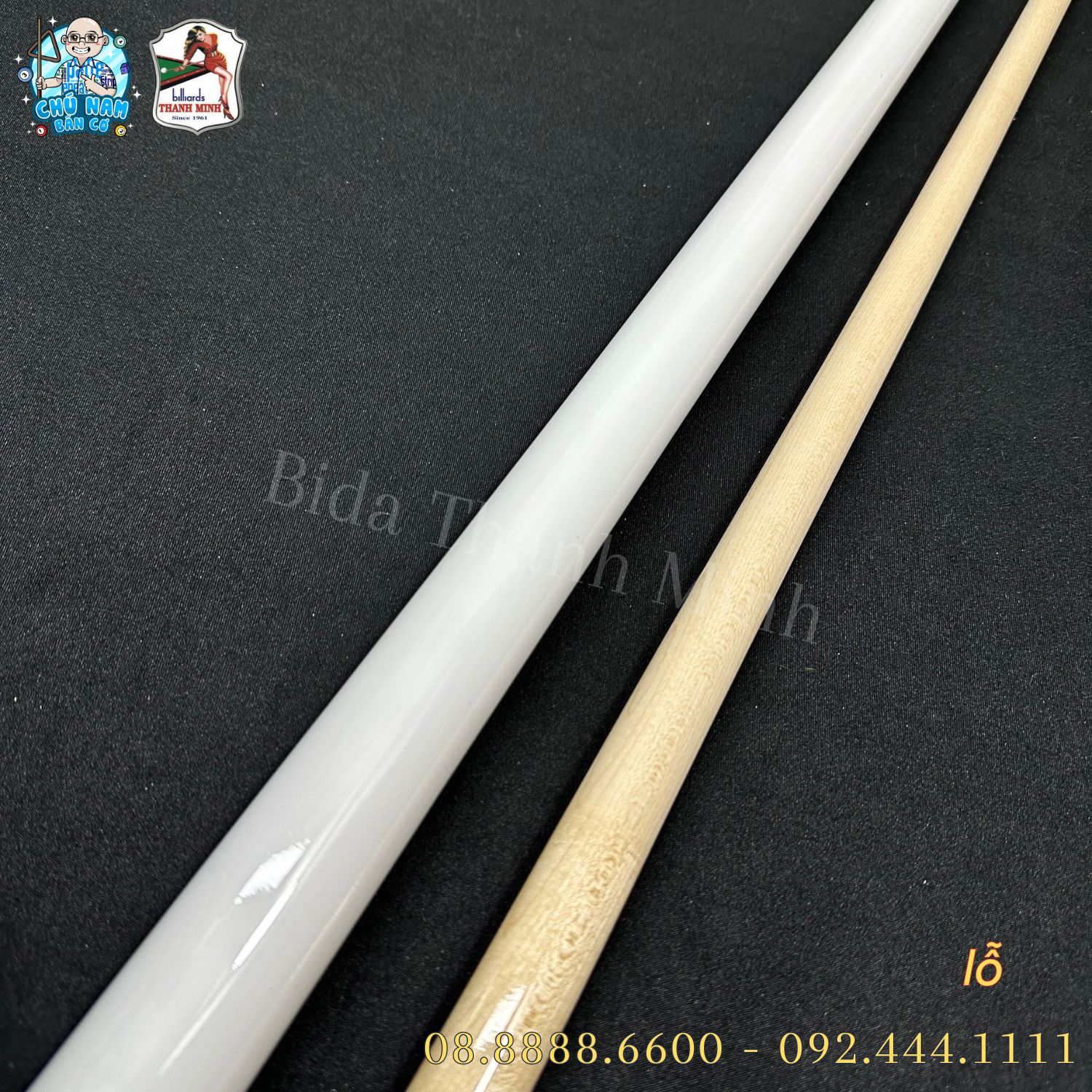 CƠ BIDA LỖ - POOL MÀU TRẮNG TM 03