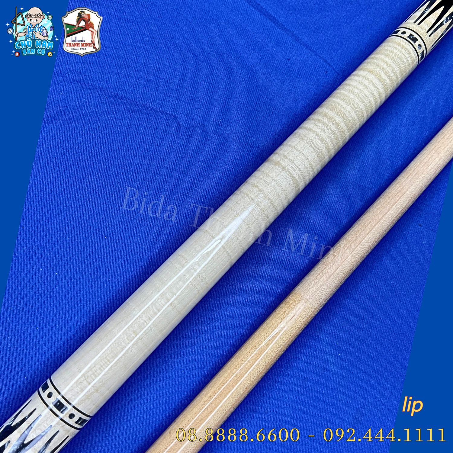 CƠ BIDA LIP CẨN TM 31