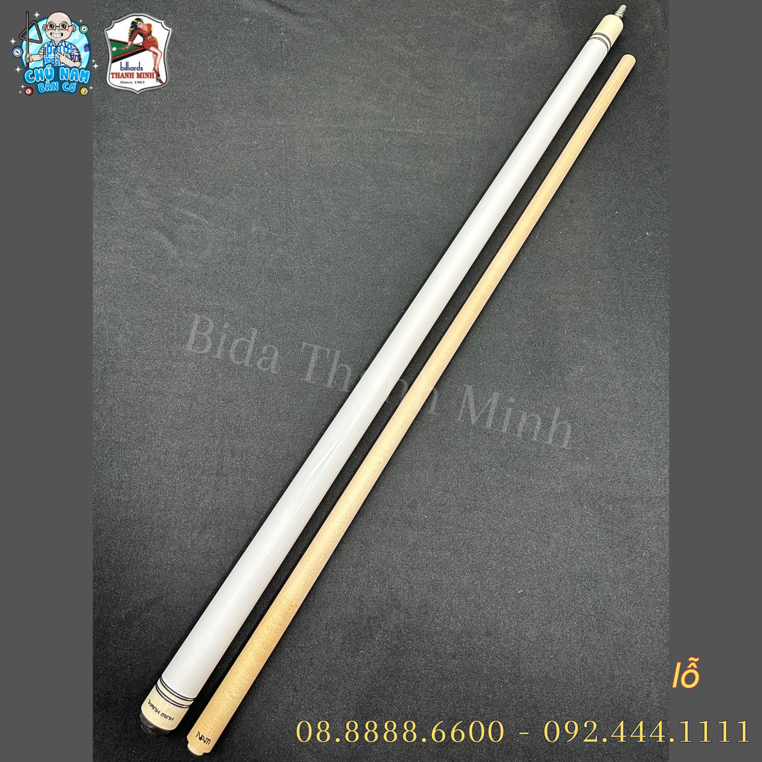 CƠ BIDA LỖ - POOL MÀU TRẮNG TM 03