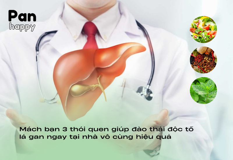 Mách bạn 3 thói quen đào thải độc tố lá gan ngay tại nhà hiệu quả