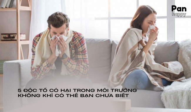5 độc tố có hại trong môi trường không khí có thể bạn chưa biết
