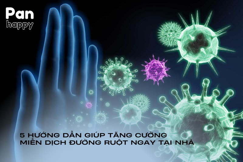 5 hướng dẫn giúp tăng cường khả năng miễn dịch đường ruột ngay tại nhà