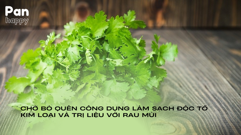 Chớ bỏ quên công dụng làm sạch độc tố kim loại và trị liệu với rau mùi