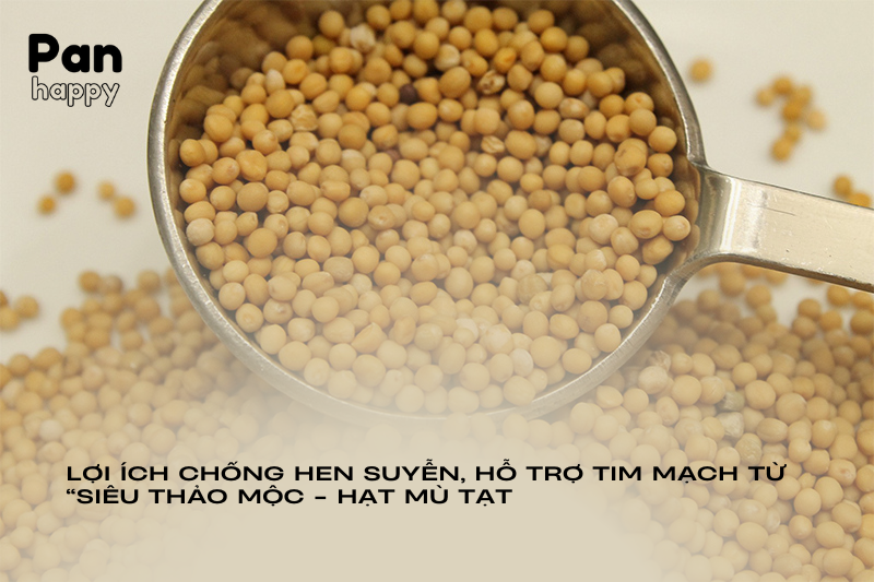 Chống hen suyễn, hỗ trợ tim mạch từ “siêu thảo mộc” hạt mù tạt 