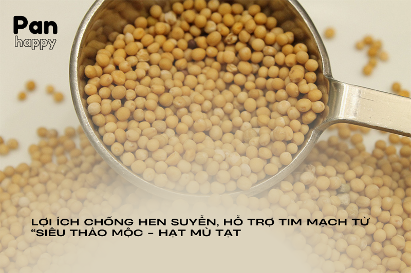 Chống hen suyễn, hỗ trợ tim mạch từ “siêu thảo mộc” hạt mù tạt