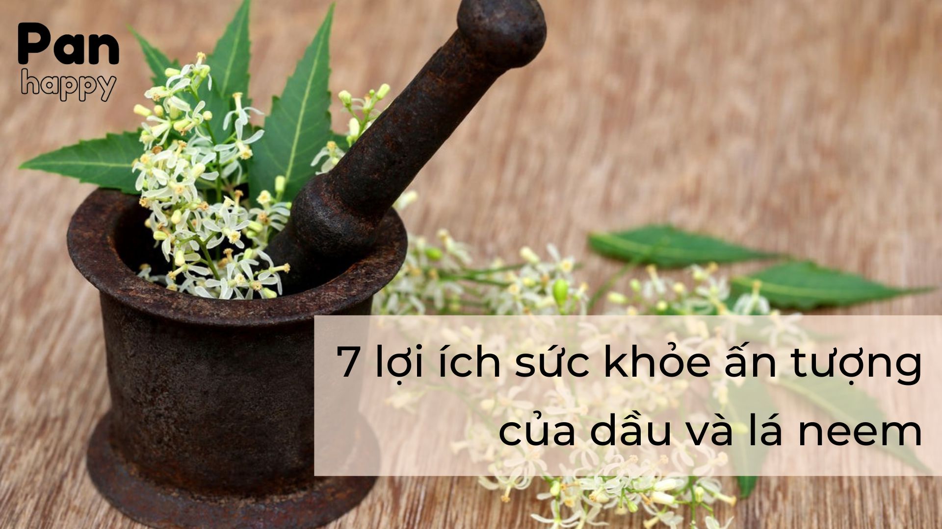 7 lợi ích sức khỏe ấn tượng của dầu và lá neem