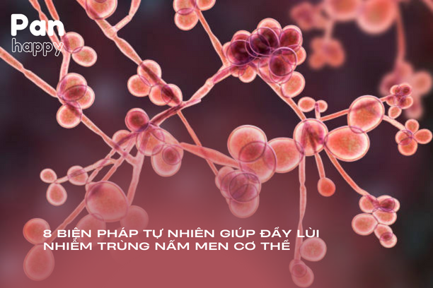 8 biện pháp tự nhiên giúp đẩy lùi nhiễm trùng nấm men cơ thể