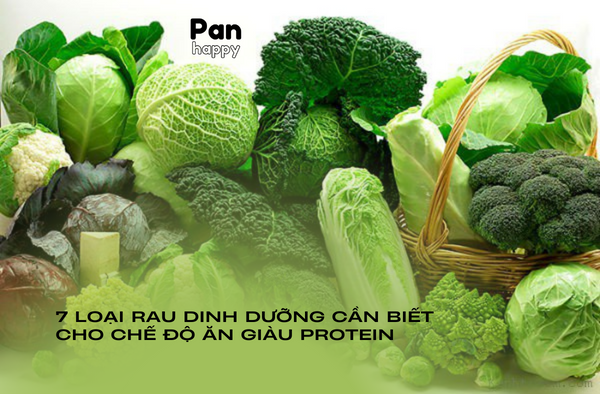 8 loại rau dinh dưỡng cần biết cho chế độ ăn giàu protein