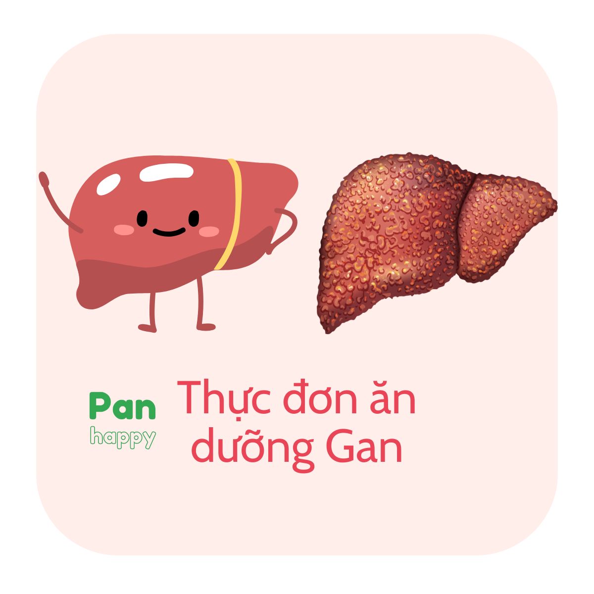 THỰC ĐƠN DINH DƯỠNG GỢI Ý CHO NGƯỜI VIÊM GAN B, GAN MỠ