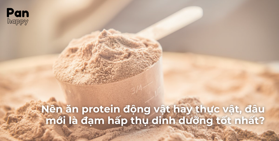 Ăn protein động vật hay thực vật mới hấp thụ dinh dưỡng tốt nhất?