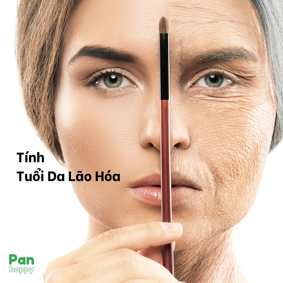 Tính Tuổi da Lão hóa - Phương thức trẻ hóa làn da