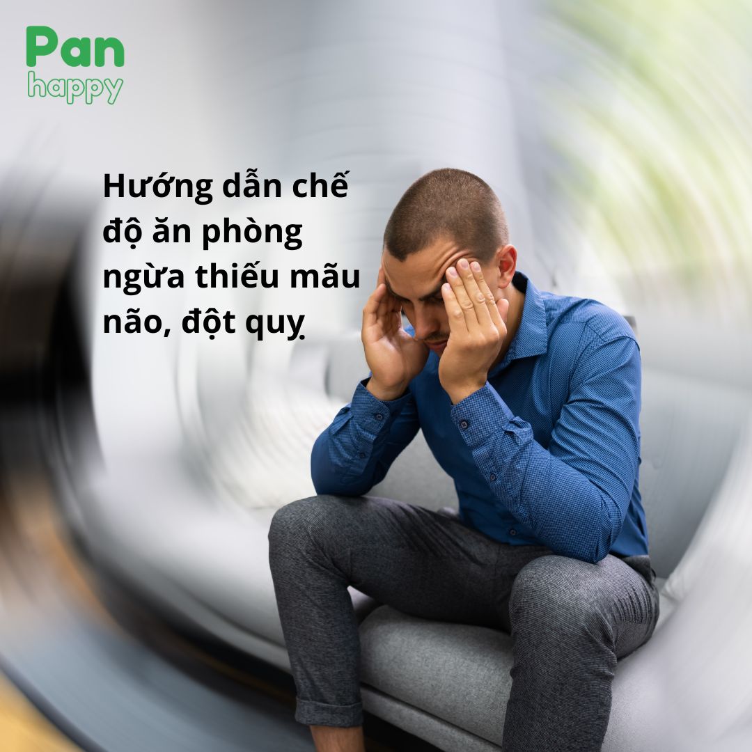 Hướng dẫn Chế độ Ăn phòng ngừa Thiếu máu não, Đột quỵ