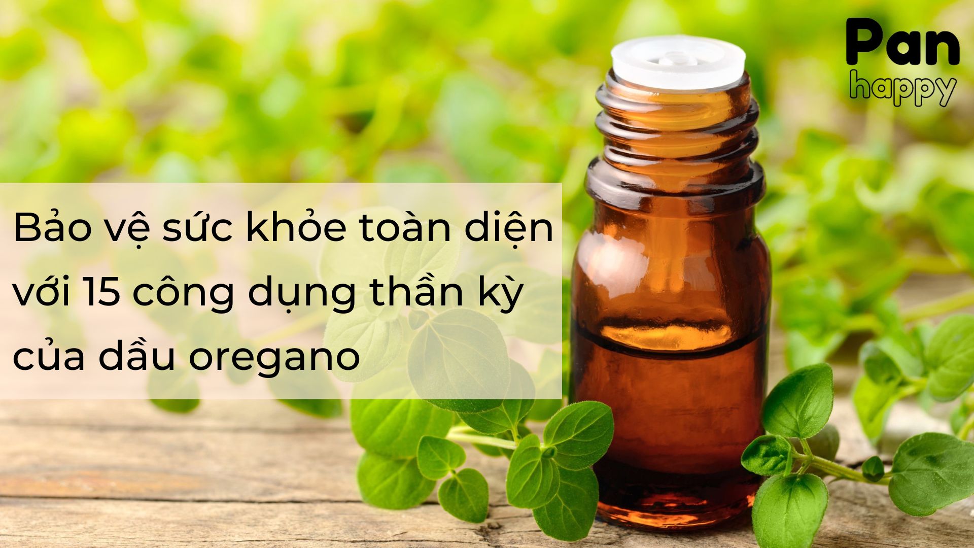 Bảo vệ sức khỏe toàn diện với 15 công dụng thần kỳ của dầu oregano