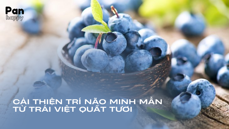 Cải thiện đầu óc minh mẫn và nhạy bén từ việc ăn việt quất tươi