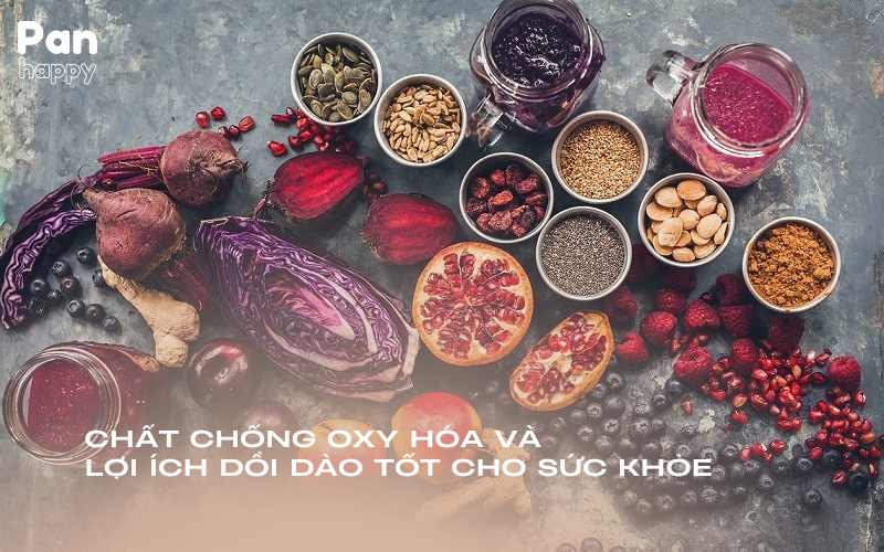 Chất chống oxy hóa và lợi ích dồi dào tốt cho sức khỏe