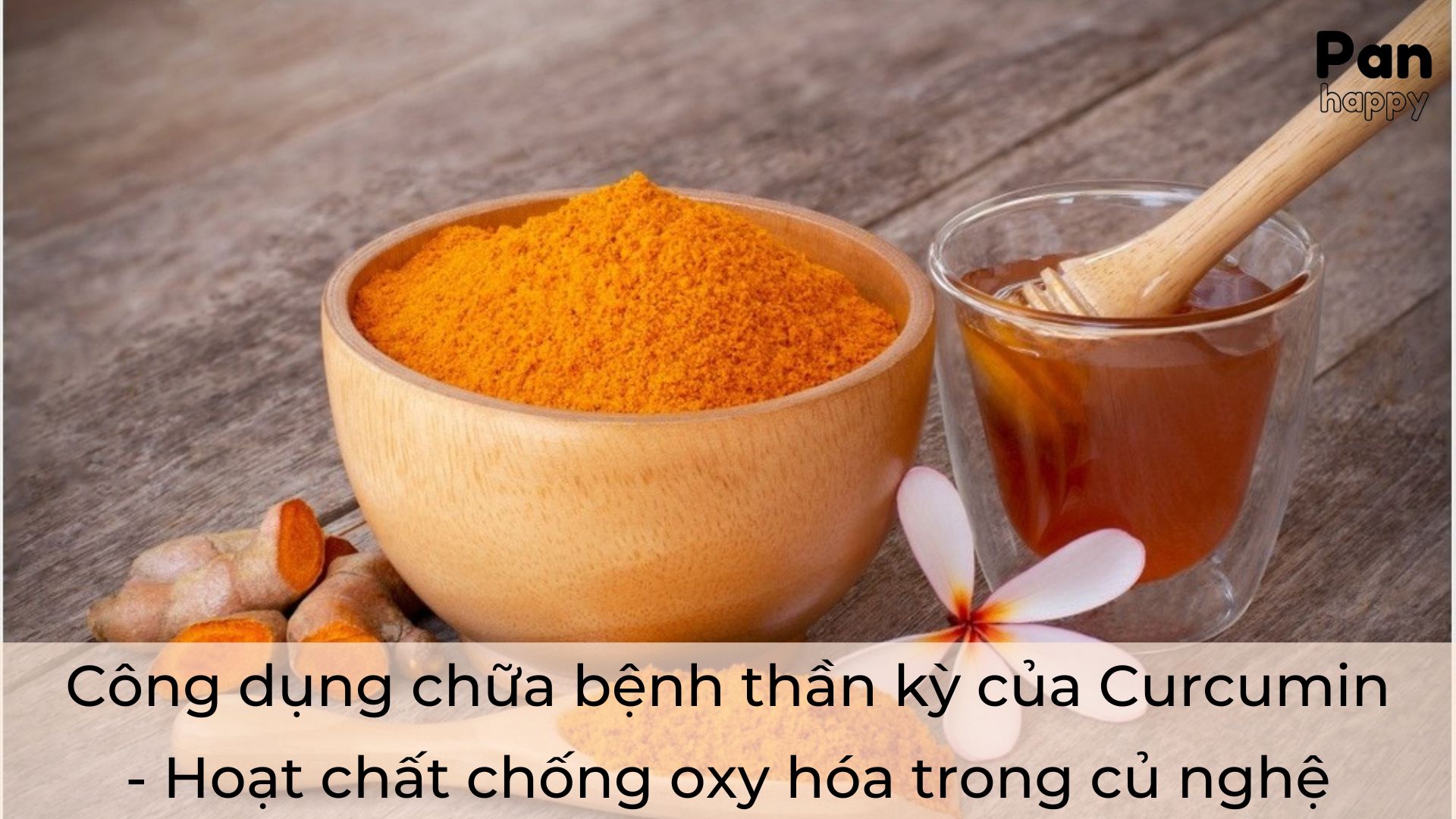 Công dụng chữa bệnh thần kỳ của Curcumin - Hoạt chất chống oxy hóa trong củ nghệ