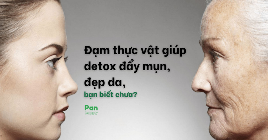 Đạm thực vật giúp detox đẩy mụn, đẹp da, bạn biết chưa?