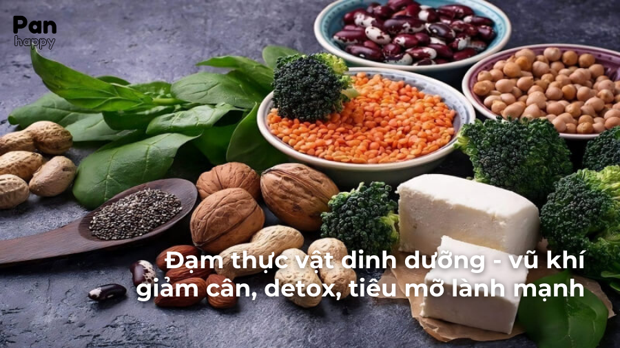 Bổ sung đạm không biết ăn gì, lưu ngay đạm thực vật giảm cân, detox