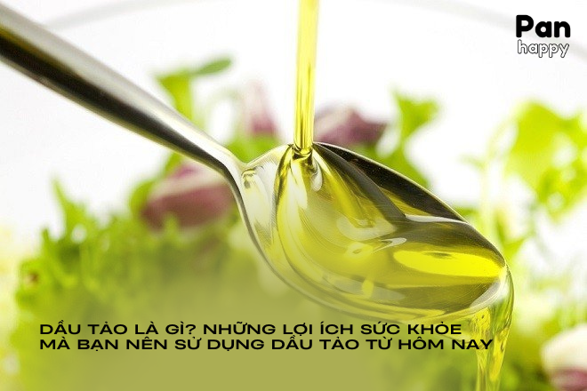 Dầu tảo là gì? Những lợi ích sức khỏe mà bạn nên sử dụng dầu tảo từ hôm nay