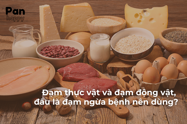 Đạm thực vật và đạm động vật, đâu là đạm ngừa bệnh nên dùng?