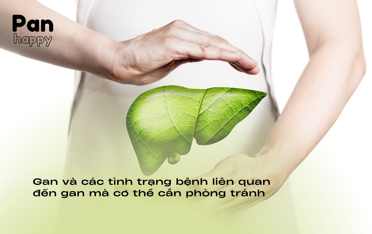 Gan và các tình trạng bệnh liên quan đến gan mà cơ thể cần phòng tránh