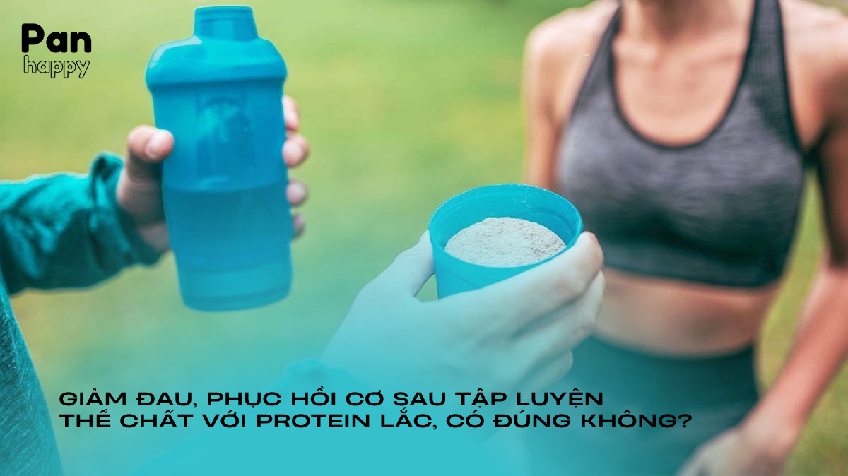 Giảm đau, phục hồi sau tập thể dục với protein lắc, liệu có đúng?