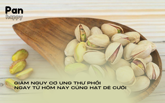 Giảm nguy cơ ung thư phổi ngay từ hôm nay cùng hạt dẻ cười