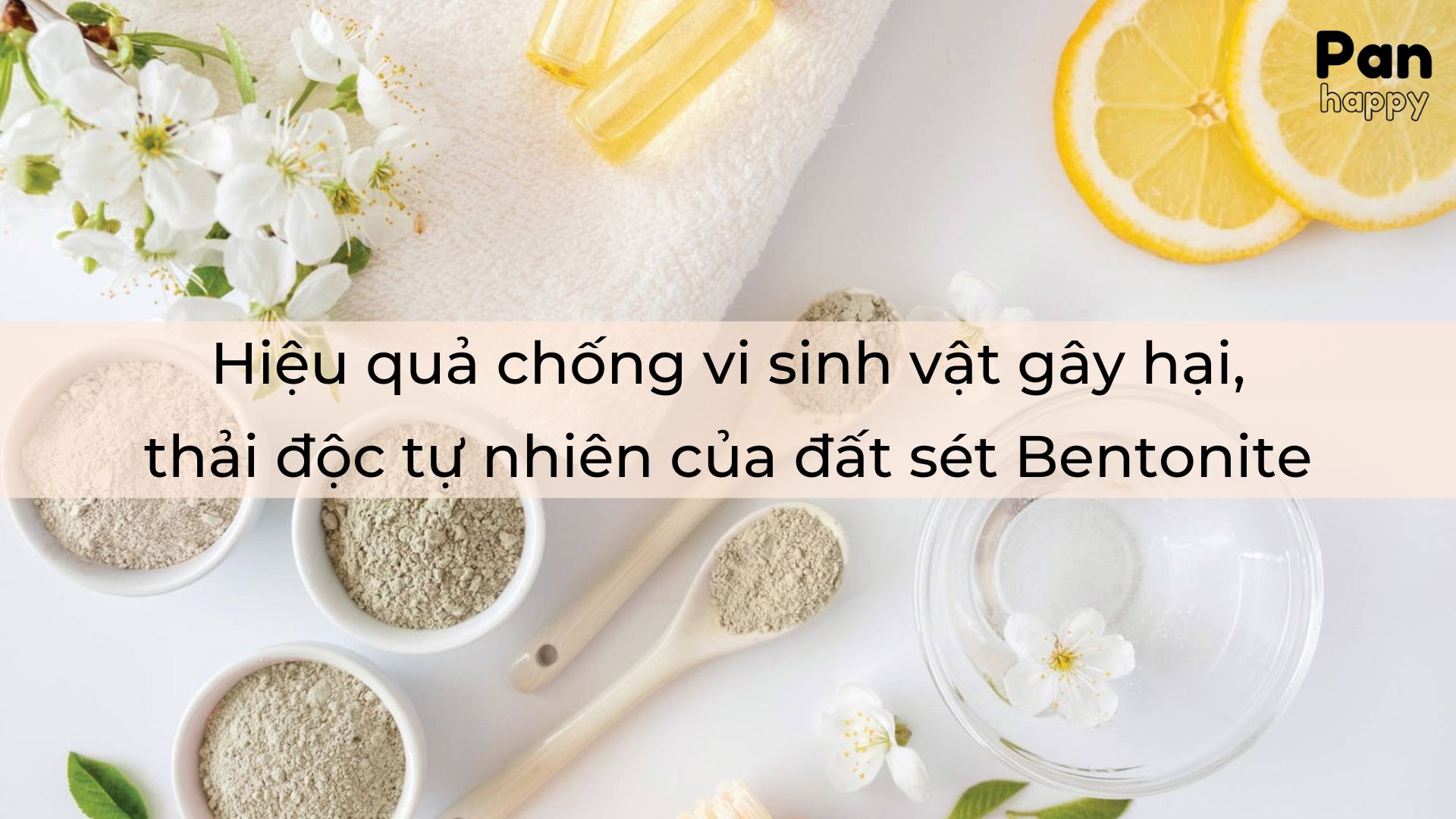 Hiệu quả chống vi sinh vật gây hại, thải độc tự nhiên của đất sét Bentonite