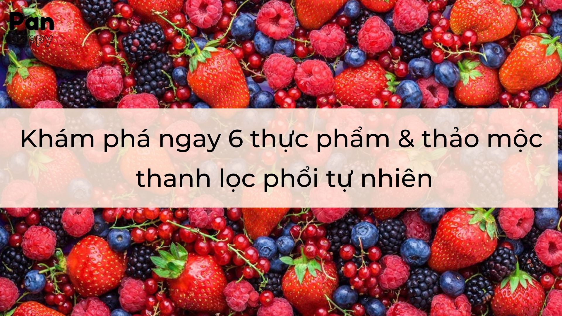 Khám phá ngay 6 thực phẩm & thảo mộc thanh lọc phổi tự nhiên