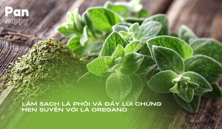 Làm sạch lá phổi và đẩy lùi chứng hen suyễn với lá oregano