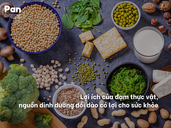 Lợi ích của đạm thực vật, nguồn dinh dưỡng dồi dào có lợi cho sức khỏe