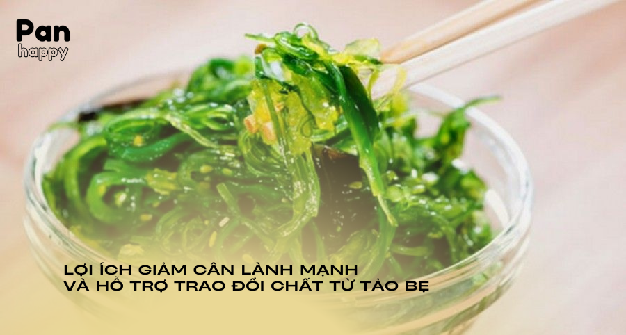 Lợi ích giảm cân lành mạnh và hỗ trợ trao đổi chất từ tảo bẹ