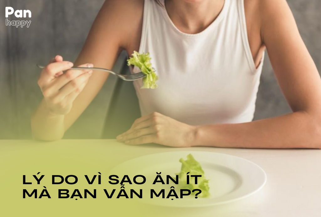 Tại sao ăn ít mà vẫn mập?