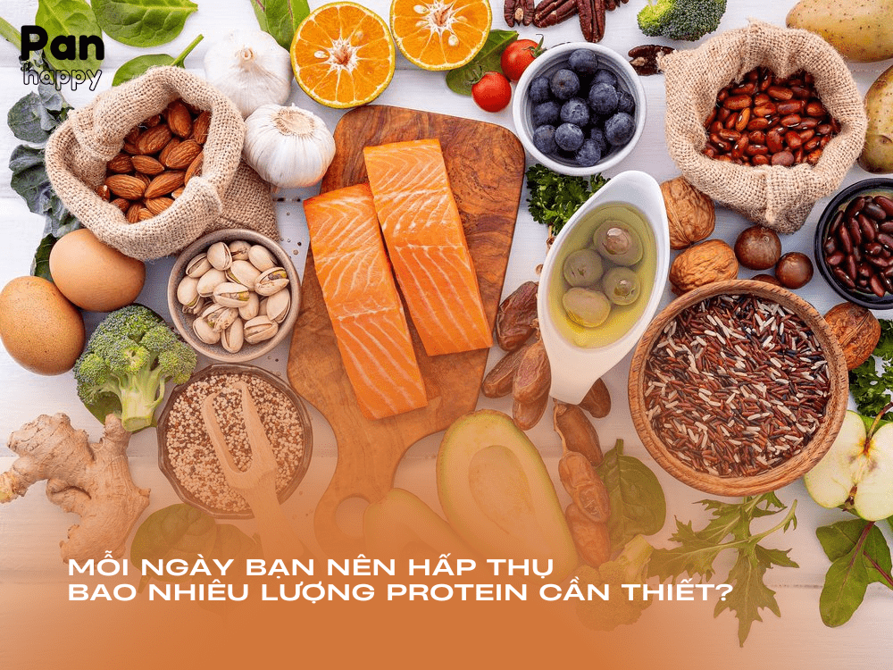 Mỗi ngày bạn nên tiêu thụ bao nhiêu lượng protein là phù hợp?