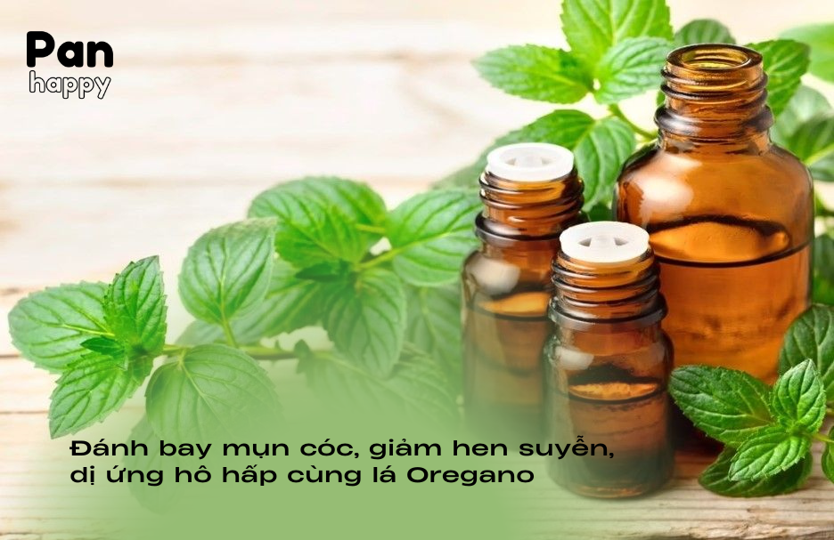 Đánh bay mụn cóc, giảm hen suyễn, dị ứng hô hấp cùng lá Oregano