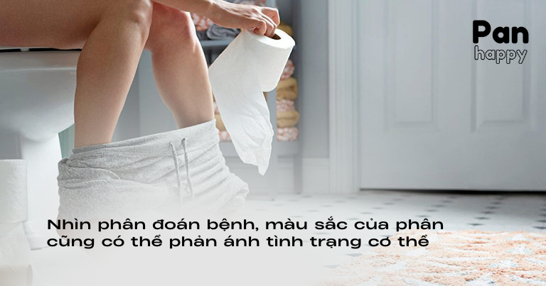 Nhìn phân đoán bệnh, màu sắc của phân phản ánh tình trạng cơ thể