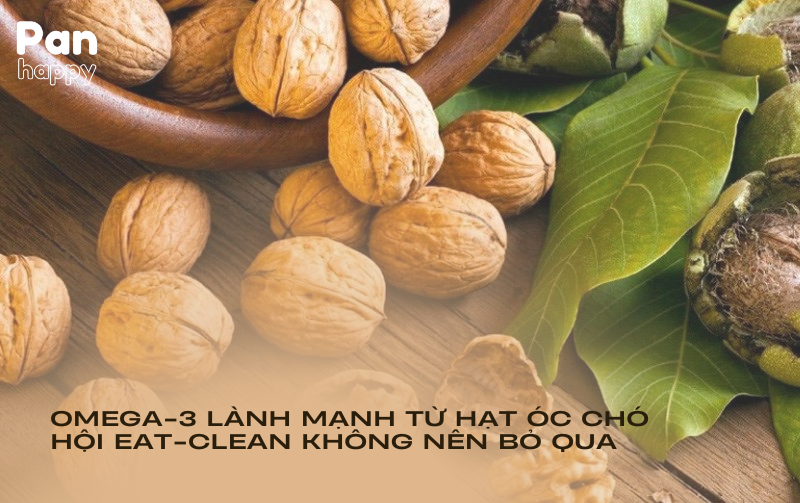 Omega-3 lành mạnh từ hạt óc chó hội eat-clean không nên bỏ qua