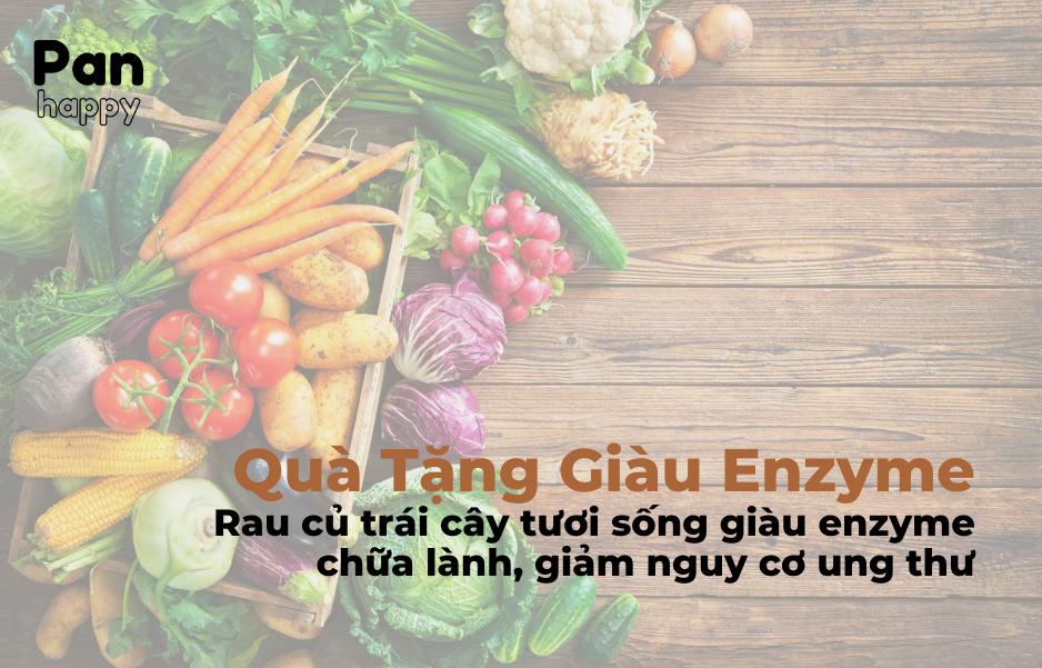 Quà Tặng Giàu Enzyme: Rau củ trái cây tươi sống giàu enzyme chữa lành, giảm nguy cơ ung thư