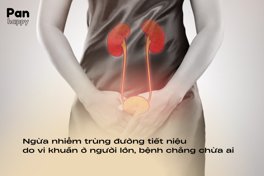 Nhiễm trùng tiết niệu do vi khuẩn ở người lớn, bệnh chẳng chừa ai