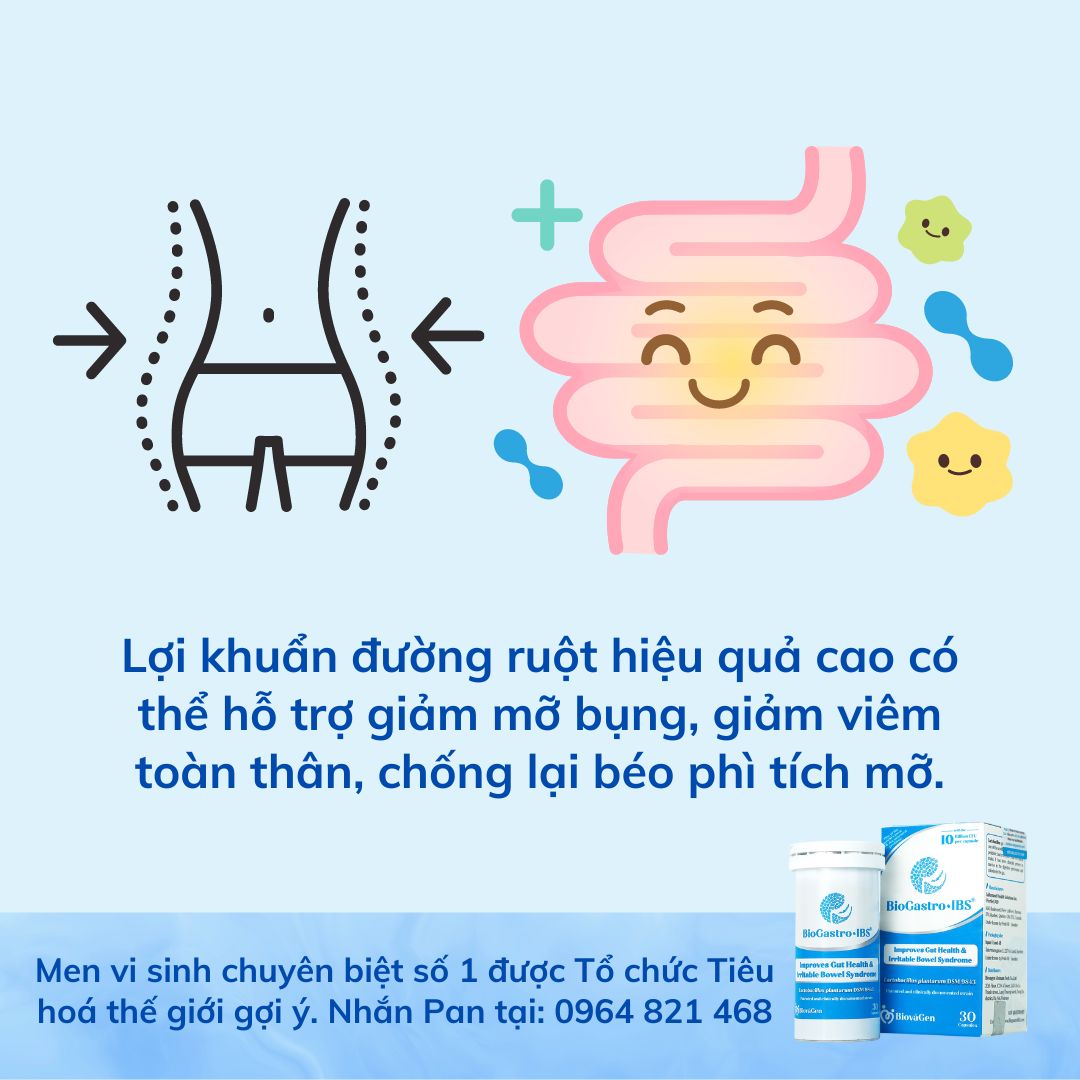 Lợi khuẩn giúp giảm cân và mỡ bụng như thế nào?