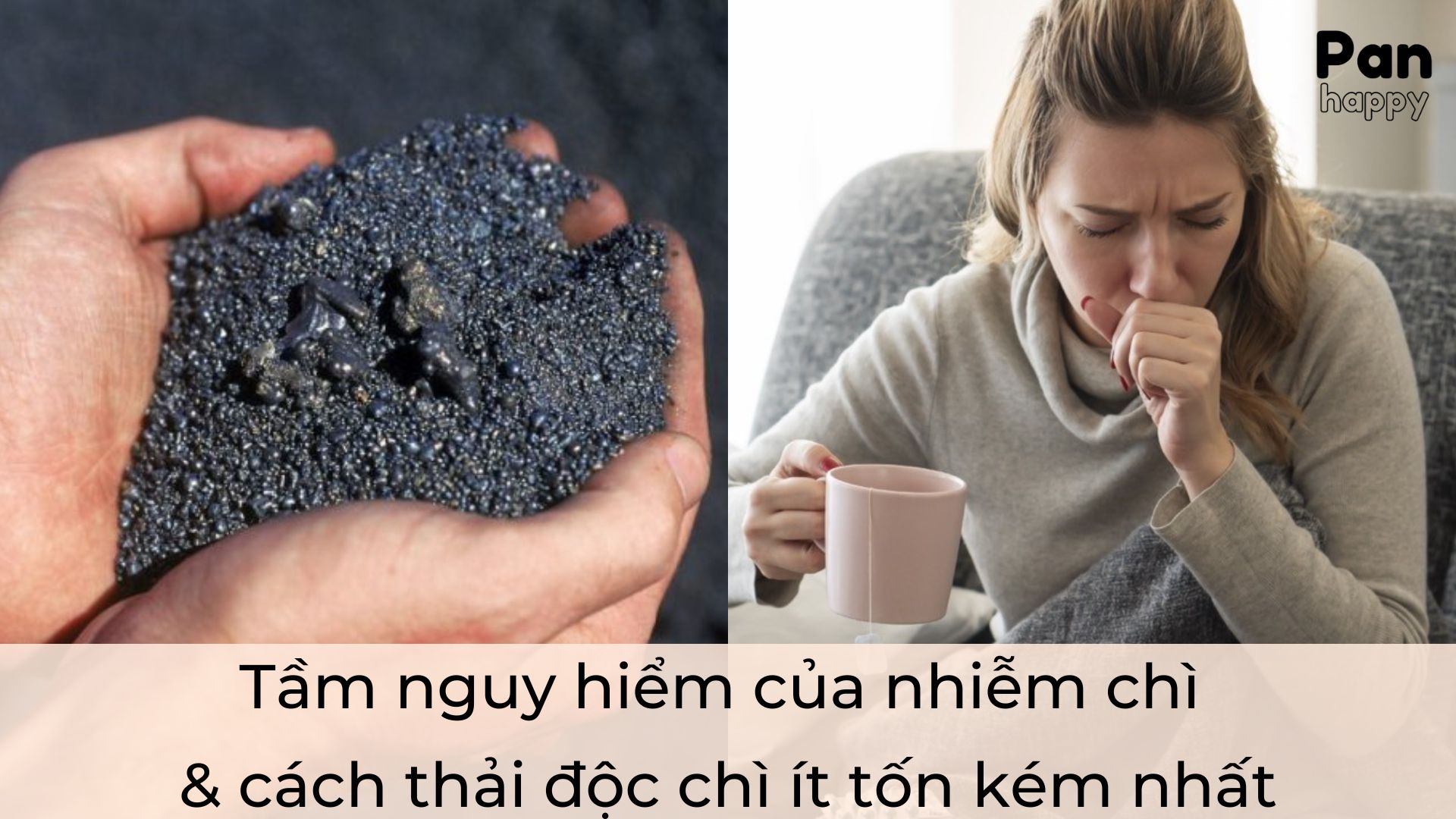 Tầm nguy hiểm của nhiễm chì & cách thải độc chì ít tốn kém nhất