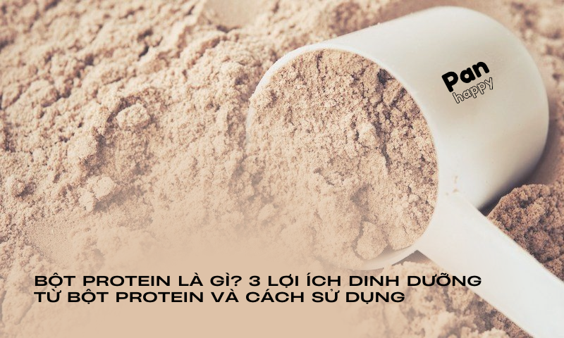 Bột protein là gì? 3 lợi ích dinh dưỡng từ bột protein và cách sử dụng