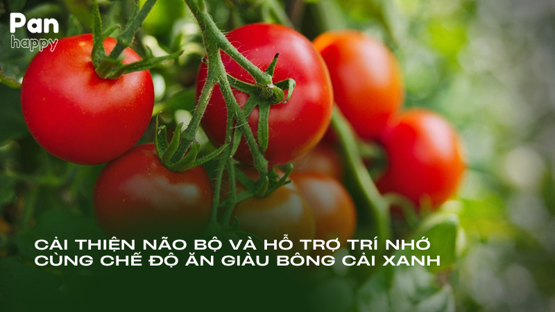 Cải thiện sức khỏe đường ruột và hệ tiêu hóa khỏe mạnh cùng cà chua