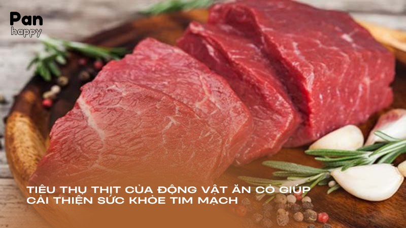 Tiêu thụ thịt của động vật ăn cỏ giúp cải thiện sức khỏe tim mạch