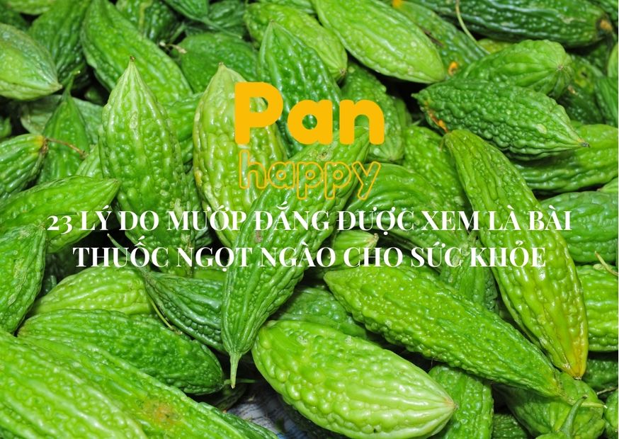 23 lý do mướp đắng được xem là bài thuốc ngọt ngào cho sức khỏe